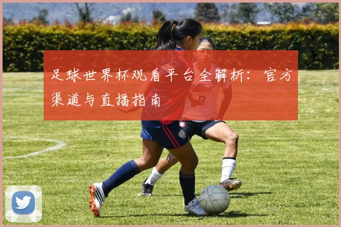 足球世界杯观看平台全解析：官方渠道与直播指南