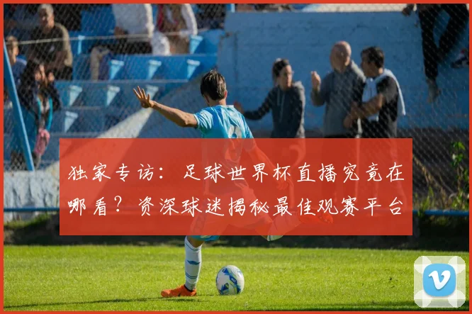 独家专访：足球世界杯直播究竟在哪看？资深球迷揭秘最佳观赛平台