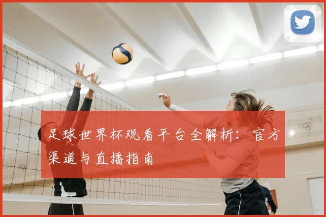 足球世界杯观看平台全解析:官方渠道与直播指南