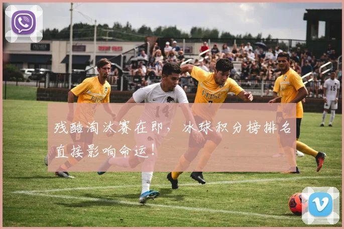残酷淘汰赛在即，冰球积分榜排名直接影响命运！